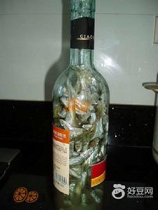 苦初魚醬 苦初魚醬