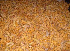 後山村[雲南省楚雄州南華縣馬街鎮後山村]