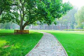 校園一隅 校園一隅