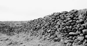 （圖）齊國長城