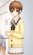 君與彼女與彼女之戀