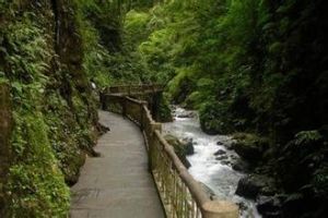 黑龍江棧道 黑龍江棧道