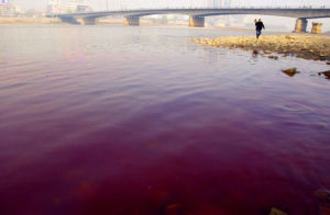 綠色造紙 綠色造紙