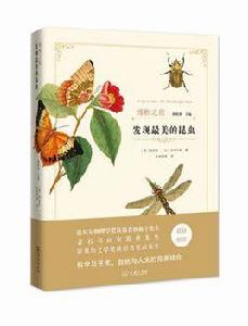 發現最美的昆蟲 發現最美的昆蟲