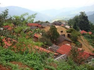 焦山大寨自然村 焦山大寨自然村