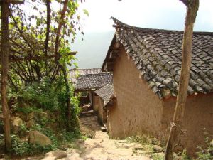 水平田自然村 水平田自然村