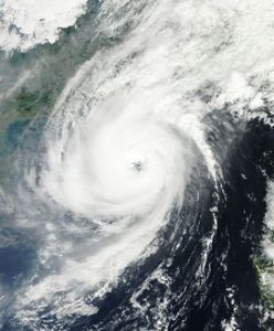 颱風羅莎 颱風羅莎