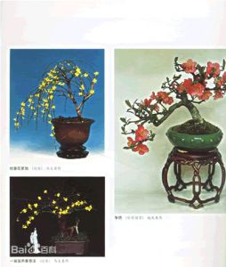 《觀花盆景培育造型與養護》 《觀花盆景培育造型與養護》