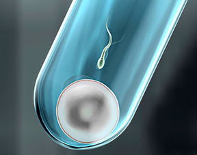 美國EMMY醫療集團 美國EMMY醫療集團