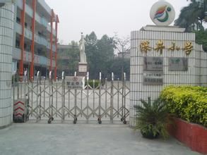 黃埔區深井國小 黃埔區深井國小