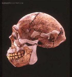 北京人化石下落之謎