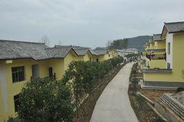 中嶺村[雲南省昭通市綏江縣板栗鄉中嶺村]