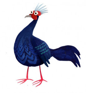 愛德華雉 愛德華雉