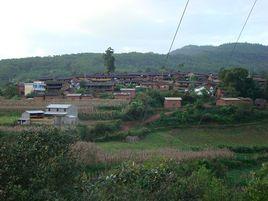 涼傘坡村[雲南省祿豐縣中村鄉涼傘坡村]