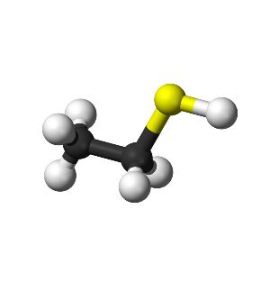 硫氫乙烷 硫氫乙烷