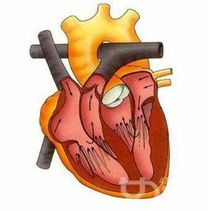 心包斜竇 心包斜竇