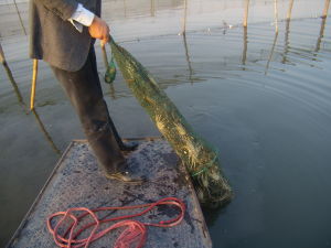 江南蟹閣 江南蟹閣