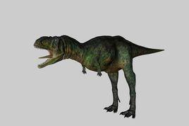 奧卡龍屬 奧卡龍屬