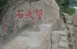 望夫石[塗山望夫石]