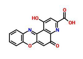 吡諾克辛 吡諾克辛