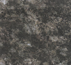 楓丹綠 | Verde Fountain |