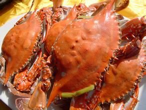 大里神仙蟹 大里神仙蟹