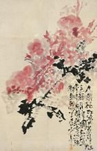 石魯月季圖 石魯月季圖