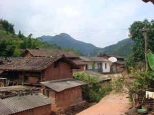 木場自然村 木場自然村