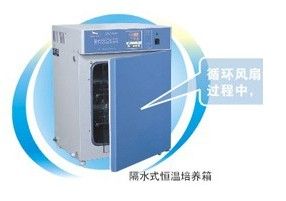 隔水式恆溫培養箱