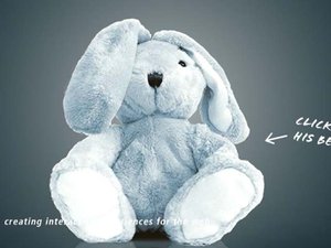 給絨兔做手術 給絨兔做手術