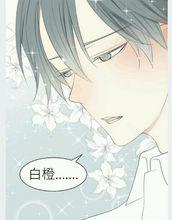 單戀大作戰[漫畫]