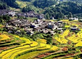 白雲村[湖南省汝城縣小垣鎮白雲村]