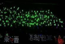 宋茜——香菜綠