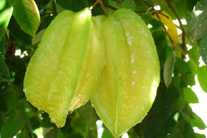 從化溫泉旅遊度假區