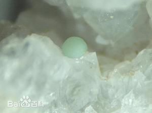 礦質營養 礦質營養