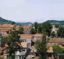 鴻園社區 鴻園社區