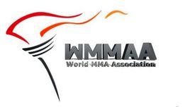 世界綜合格鬥錦標賽 世界綜合格鬥錦標賽
