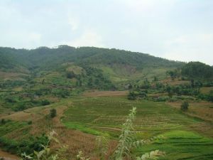 把上自然村 把上自然村