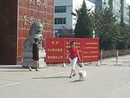 陝西省崔家溝監獄 陝西省崔家溝監獄