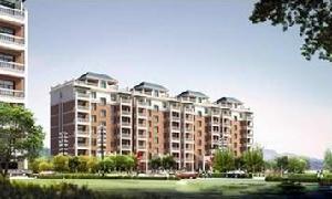 鼎龍家園 鼎龍家園