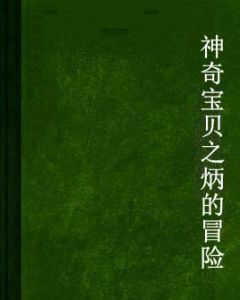 神奇寶貝之炳的冒險 神奇寶貝之炳的冒險