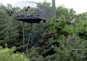 （圖）吉林東北虎園