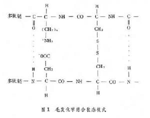 毛髮化妝品 毛髮化妝品