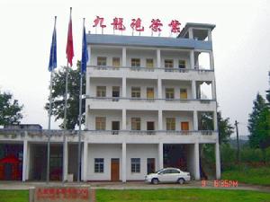 武夷山九龍袍 武夷山九龍袍