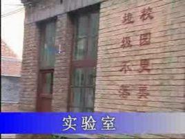 寧津鎮第一中學 寧津鎮第一中學