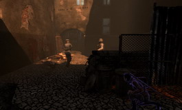 （圖）溫柔刺客