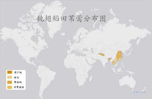 鈍翅稻田葦鶯分布圖