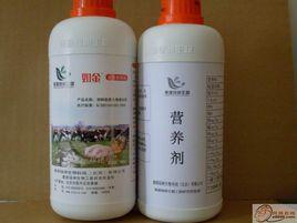 如金益生菌原液 如金益生菌原液