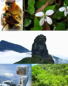 梵淨山自然保護區