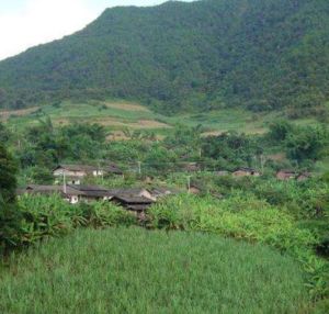 鳳山鄉文海村 鳳山鄉文海村